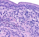 L'esame istologico in medicina veterinaria